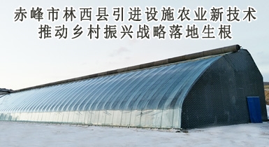 赤峰市林西縣引進(jìn)設施農業(yè)新技術(shù)推動(dòng)鄉村振興戰略落地生根