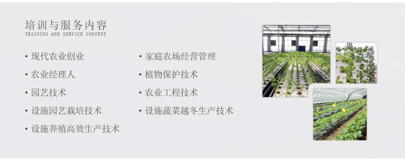 人才培養1920實(shí)驗2_12.jpg