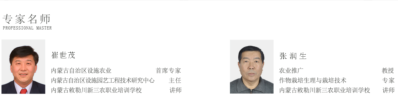 人才培養1920實(shí)驗3_10.jpg