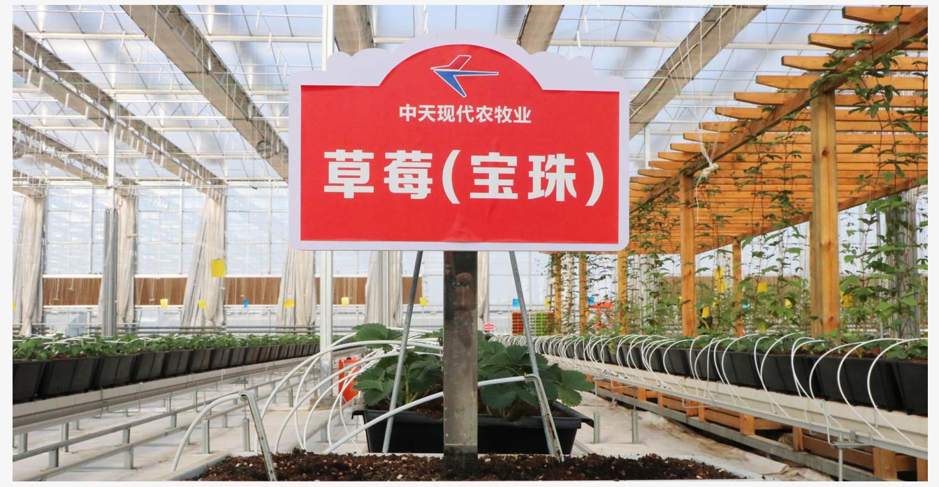 準格爾旗現代智慧設施農業(yè)產(chǎn)業(yè)園_20.jpg