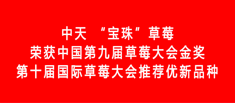 草莓1920網(wǎng)50像素2025年3月12日網(wǎng)頁(yè)_01.jpg