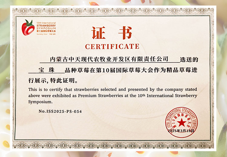 草莓1920網(wǎng)50像素2025年3月12日網(wǎng)頁(yè)_04.jpg